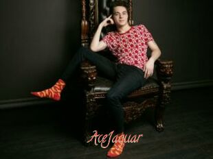 AceJaguar