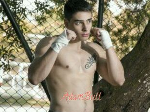 AdamBull