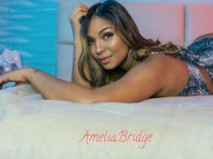 AmeliaBridge