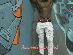 Anaconda11inchescock