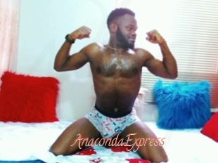 AnacondaExpress