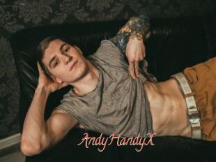 AndyHandyX
