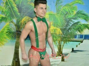 AndyMARLOW