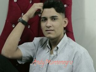 AndyMontenegro