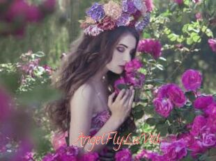 AngelFlyLaVid