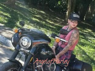 AngelofHarley