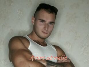 Antoni_adrenal1n