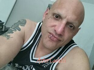 AsherCavalli