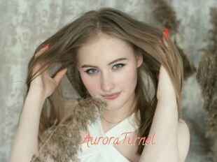 AuroraTurnel