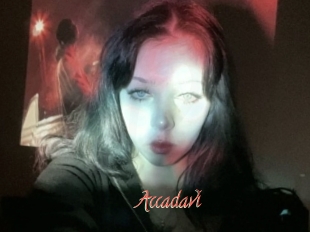 Accadavi