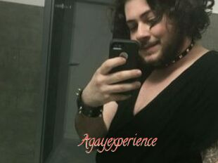 Agayexperience