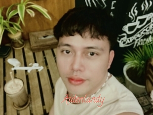 Aidenlandy