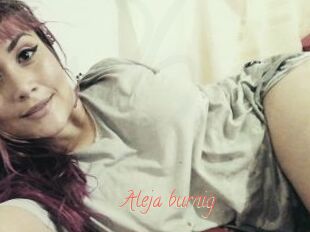 Aleja_burnig