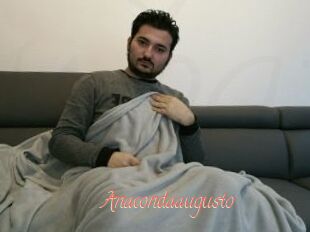Anacondaaugusto