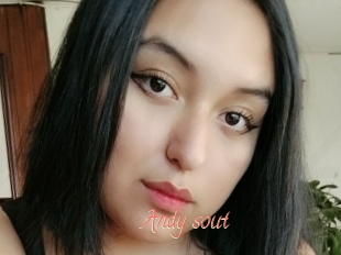 Andy_sout