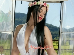 Angiehawker