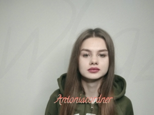 Antoniacordner