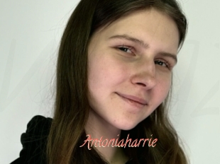 Antoniaharrie