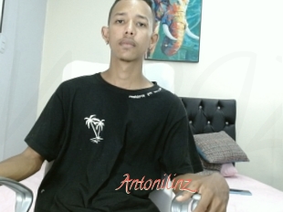 Antonilinz