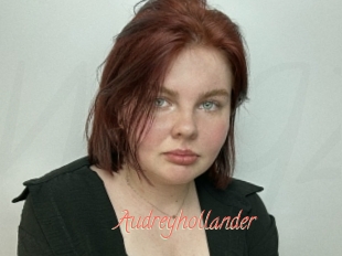 Audreyhollander