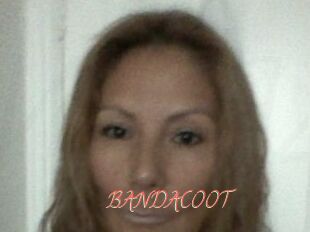BANDACOOT
