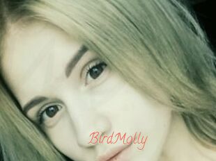BirdMolly