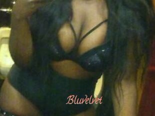 Bluvelvet