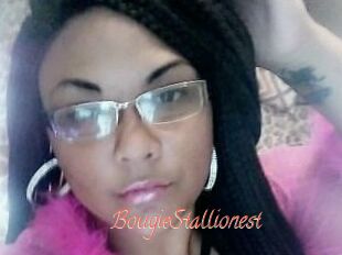 BougieStallionest