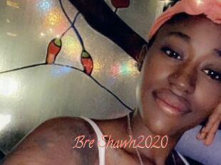 Bre_Shawn2020