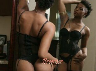 Breerose