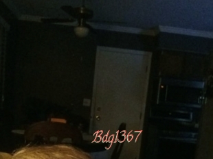 Bdg1367