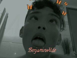 Benjaminwilde