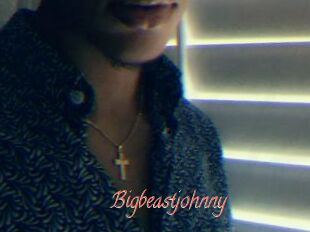 Bigbeastjohnny