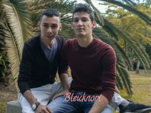 Bleicknort