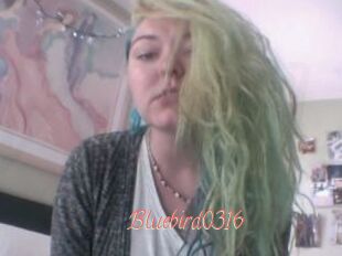 Bluebird0316