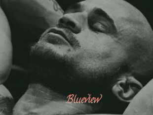 Blueview