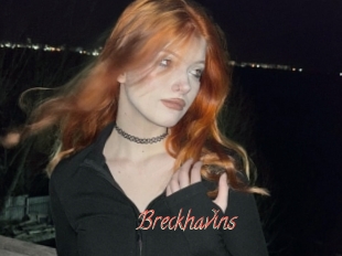 Breckhavins