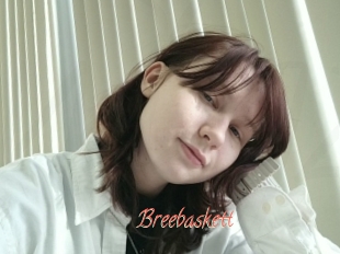 Breebaskett