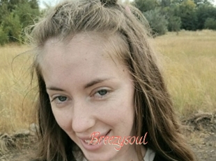 Breezysoul