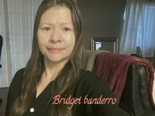 Bridget_banderro