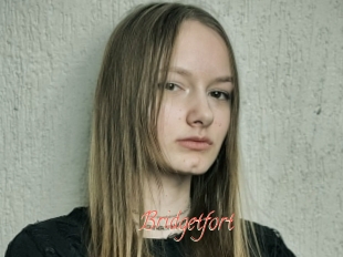 Bridgetfort