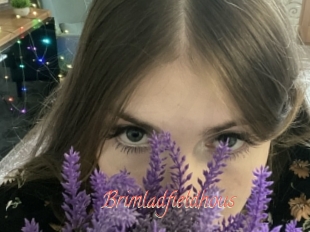 Brimladfieldhous