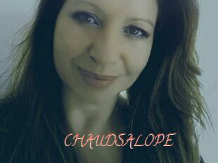 CHAUDSALOPE