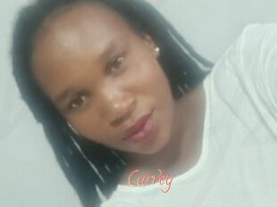 Curvey