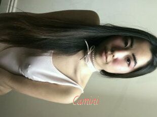 Camini