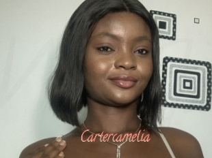 Cartercamelia