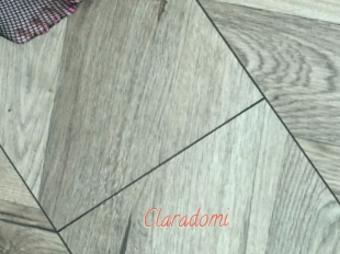Claradomi