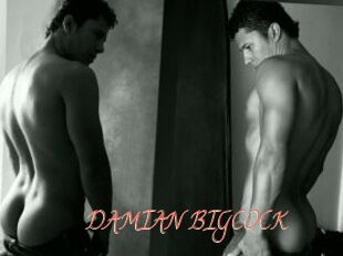 DAMIAN_BIGCOCK