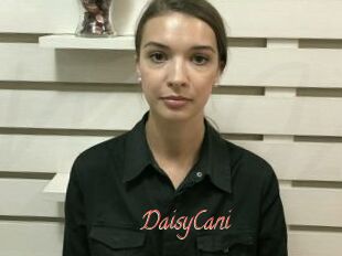 DaisyCani