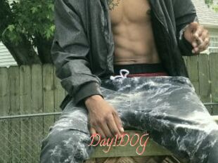 Day1DOG